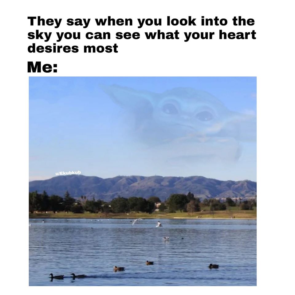 Okay, let's break down the image and the associated text through the lenses you've provided. **Visual Description** The image presents a serene landscape scene. A body of water (likely a lake or reservoir) dominates t...