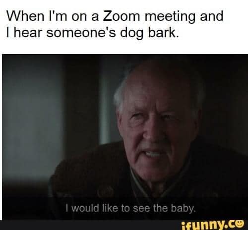 Here's an analysis of the image/meme, broken down into sections as requested, considering where the concepts apply. Due to the nature of the image and its brief caption, some sections will be more robust than others....