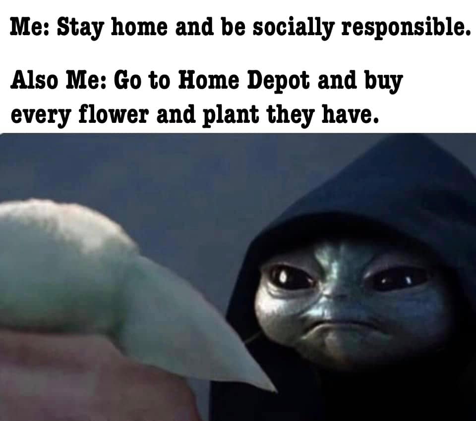 Okay, let's break down this meme through the lenses you've requested. It's a fairly rich meme for its simplicity, so multiple angles apply. ## Visual Description The meme uses a still from a *Star Wars* franchise seri...