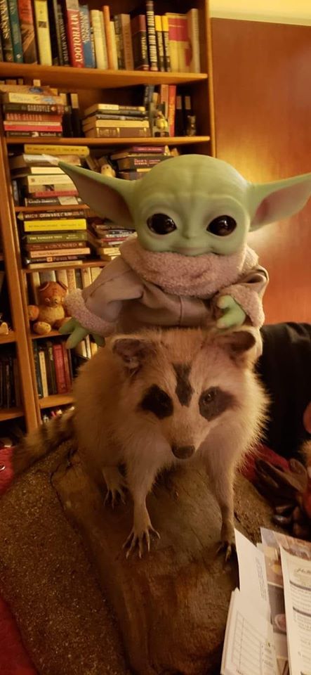 Okay, let's break down this image through the lenses you've requested. Given the whimsical nature of the image, some of these analyses will be more readily applicable than others, and will lean into a playful, interpr...