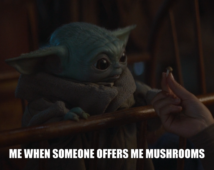 Okay, let's break down the image and meme with the requested theoretical frameworks. **Visual Description** The image features "Grogu" (Baby Yoda) from the Disney+ series *The Mandalorian*. He is depicted in a low-lit...
