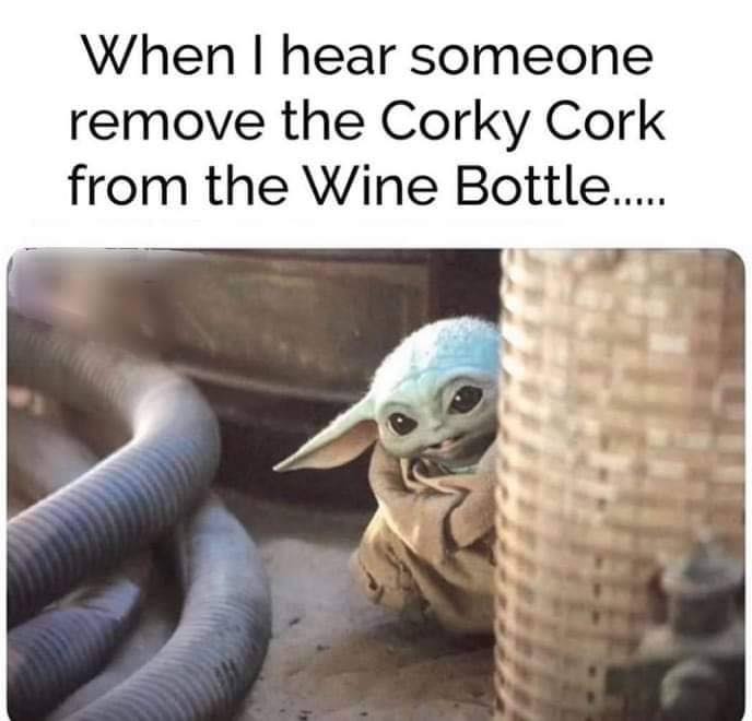 Okay, here's an analysis of the meme "When I hear someone remove the cork from the wine bottle..." broken down into the requested theoretical frameworks, with headings only where relevant. **Visual Description** The i...