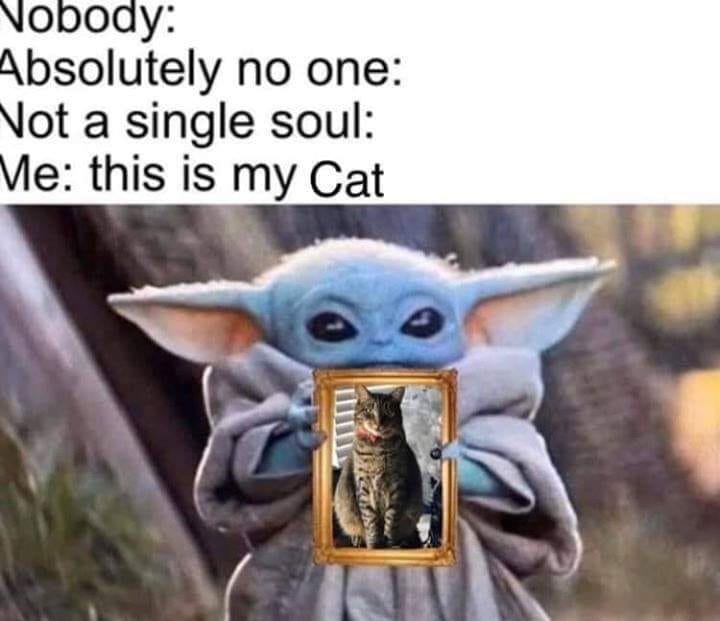 Okay, let's break down this meme through the lenses you've requested. Given the content, not *all* of these lenses will be equally strong or relevant, but I will attempt to cover them all where applicable. **Visual De...