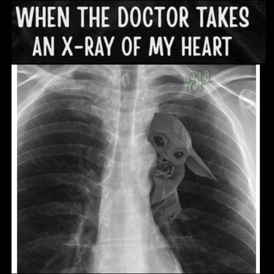 Okay, let's break down this image through several theoretical lenses. **Visual Description** The image is a digitally manipulated X-ray of a human chest. Instead of depicting the heart and lungs as they normally would...