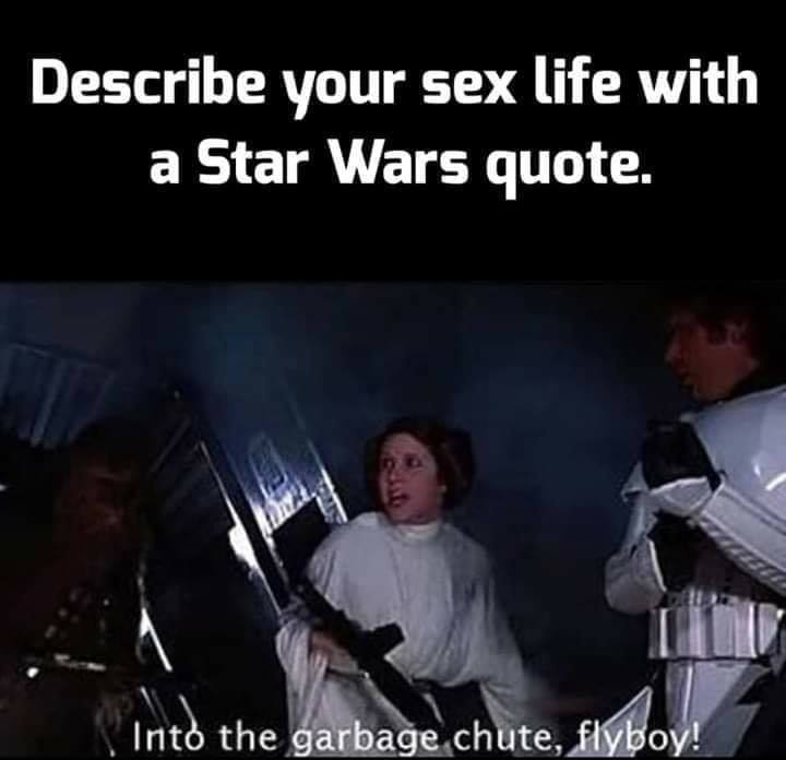 Okay, let's break down the meme (featuring Princess Leia’s infamous line “Into the garbage chute, flyboy!”) through the requested theoretical lenses. I'll only include sections where the theory *actually* applies to t...