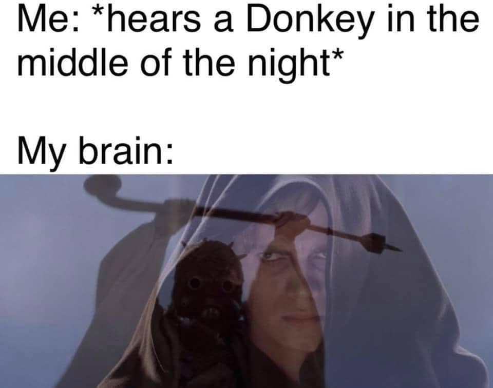 Okay, let's break down this meme through several theoretical lenses. It's a deeply odd meme, so some lenses will be more applicable than others. **Visual Description** The meme is a two-panel format. The top panel set...