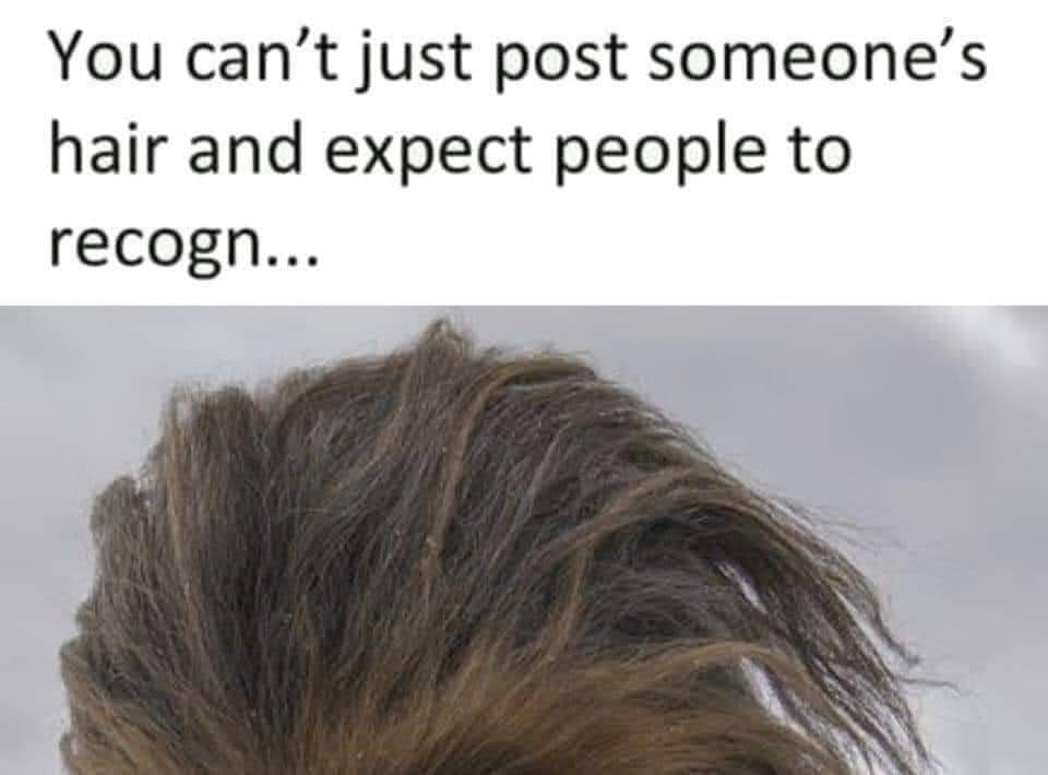 Okay, let's break down this image and its accompanying text through the lenses of several theoretical frameworks. It's important to note that applying these can be somewhat playful and interpretive, as the image itsel...