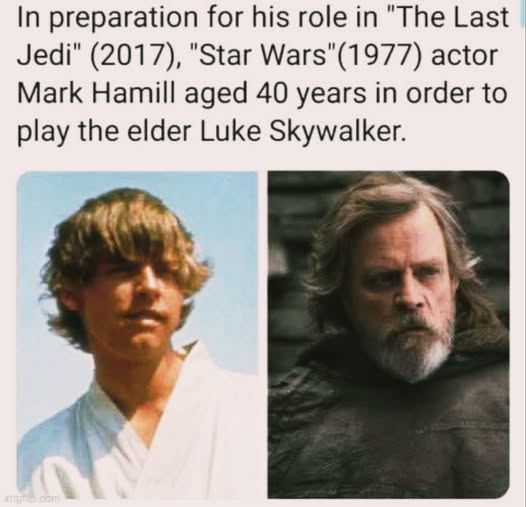 Okay, let's break down this image and its accompanying text through the requested theoretical lenses. I'll include headings only for those that genuinely apply. ## Visual Description The image presents a diptych, a si...