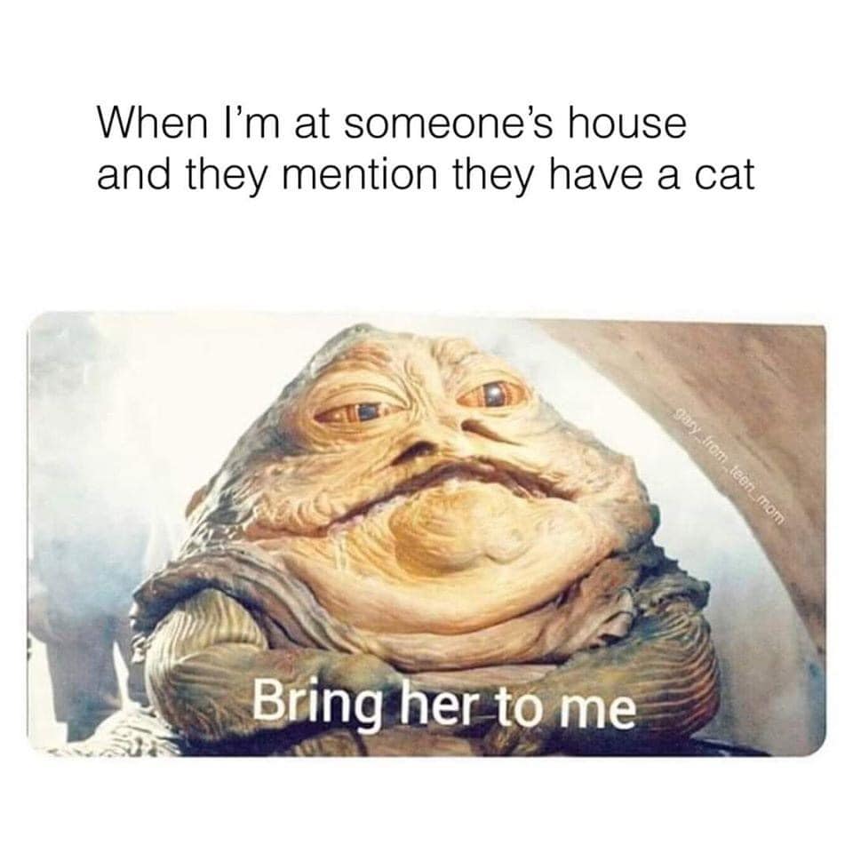 Okay, let's break down this meme through the lenses of several theoretical frameworks. It’s a playful image, so applying such dense theories might seem like overkill, but it’s a good exercise in thinking critically! #...