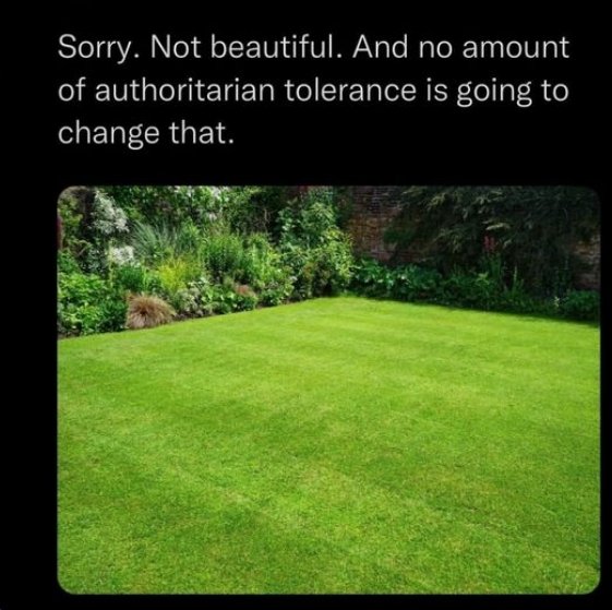 Okay, let's break down this image and its accompanying text through several theoretical lenses. The pairing is quite pointed, so we'll explore the potential meaning constructed by the combination. **Visual Description...