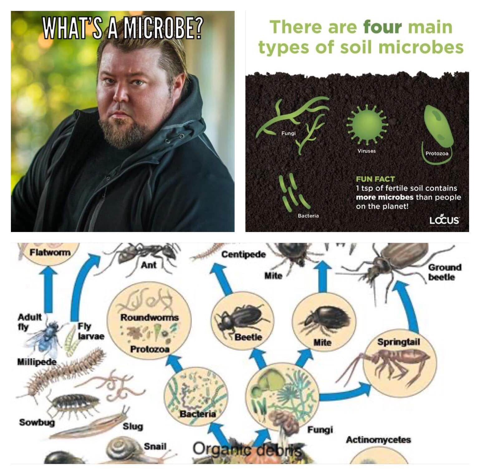Okay, let's break down this image with the requested theoretical lenses. It's a fascinating task, as the image seems simple on the surface but opens up intriguing possibilities when subjected to complex analysis. **Vi...