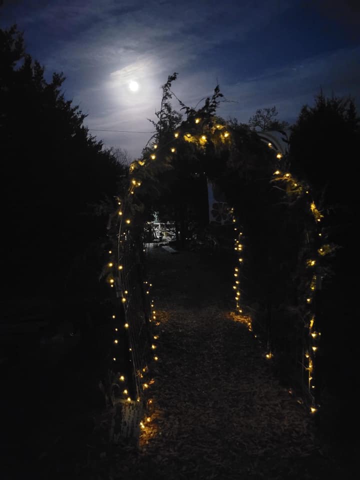 Okay, here's an analysis of the image, broken down into the requested sections where applicable. Given the image, some sections will be more substantial than others, and some may be minimal or not present. ## **Visual...