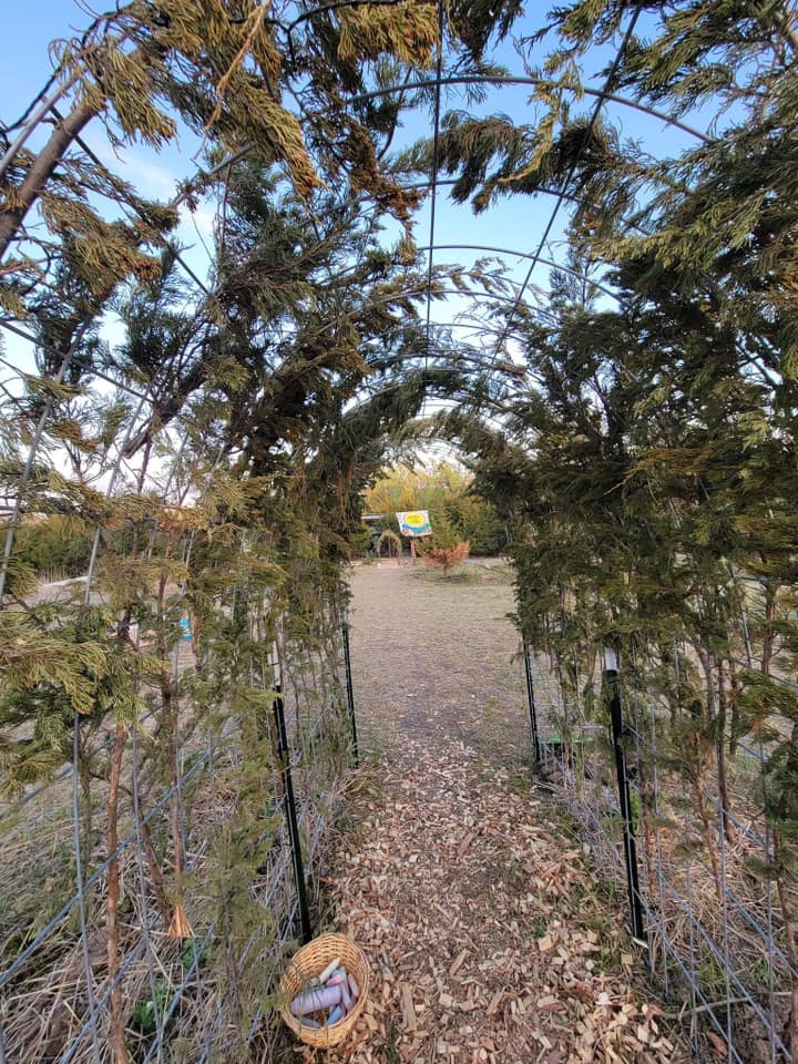 Okay, here's an analysis of the image, broken down into the sections you requested, only including those which meaningfully apply. **Visual Description** The photograph presents a symmetrical, tunnel-like structure fo...