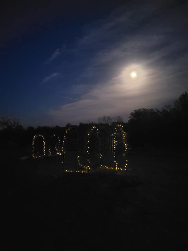 Okay, let's break down this image through the lenses you've requested. Given the subject matter and aesthetic, some analyses will be more pronounced than others. **Visual Description** The image depicts a dark night s...