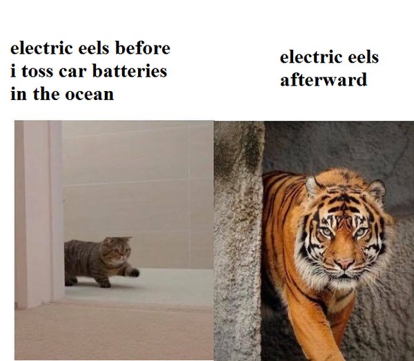Okay, let's break down this bizarre image pairing with the requested theoretical lenses. It's...a lot. **I. Visual Description** The image is a stark diptych. On the left, titled "electric eels before i toss car batte...