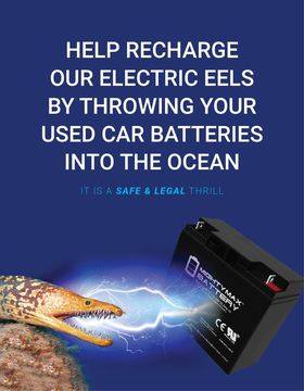 Here's an analysis of the image, broken down into the requested sections. It's important to note that some sections will be more applicable/substantial than others, given the nature of the image and the complexity of...