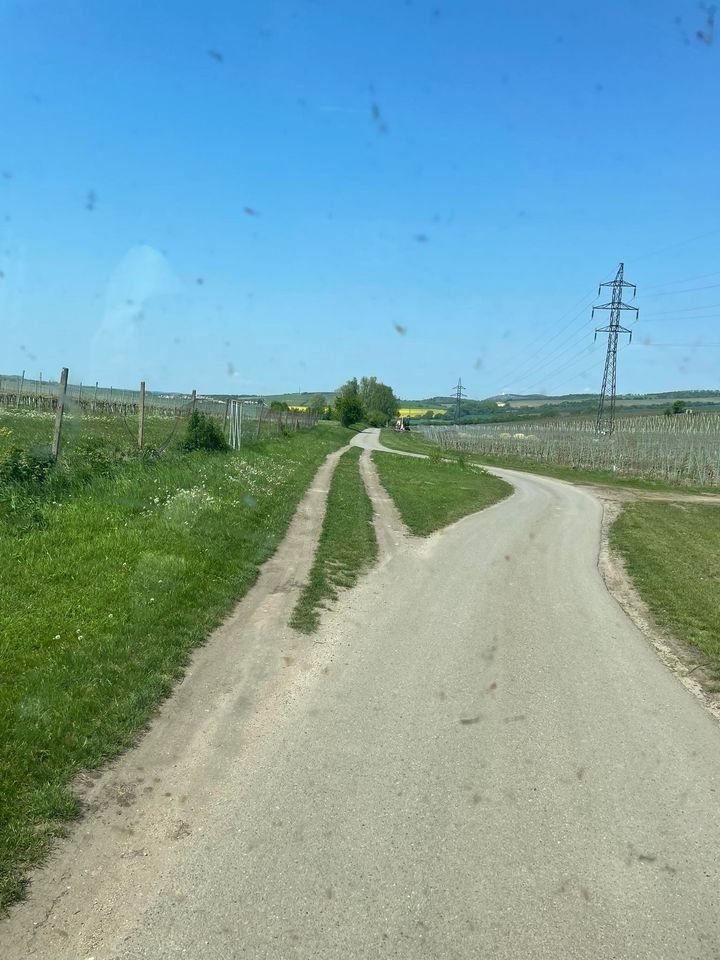 Okay, here's an analysis of the image, broken down into the requested sections, applying the theoretical frameworks where relevant. I'll include explanations of why some sections *aren't* applicable or less strongly s...