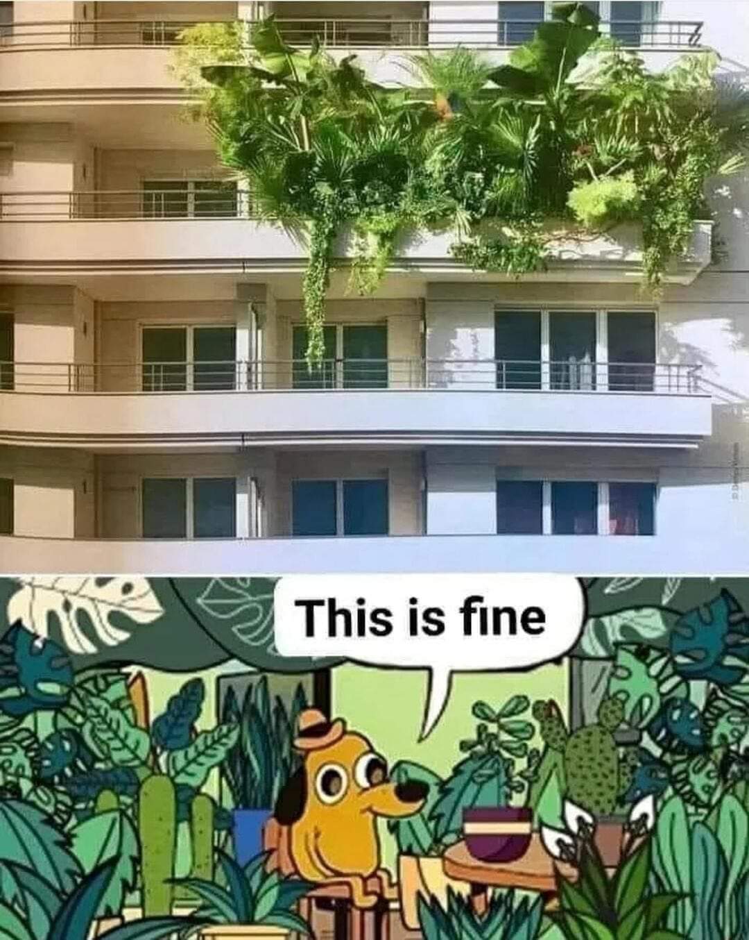 This meme is a play on the concept of Guerilla Urbanism, where individuals take over and transform urban spaces with creative and unconventional methods. The image shows a building with a lush, jungle-like exterior, w...