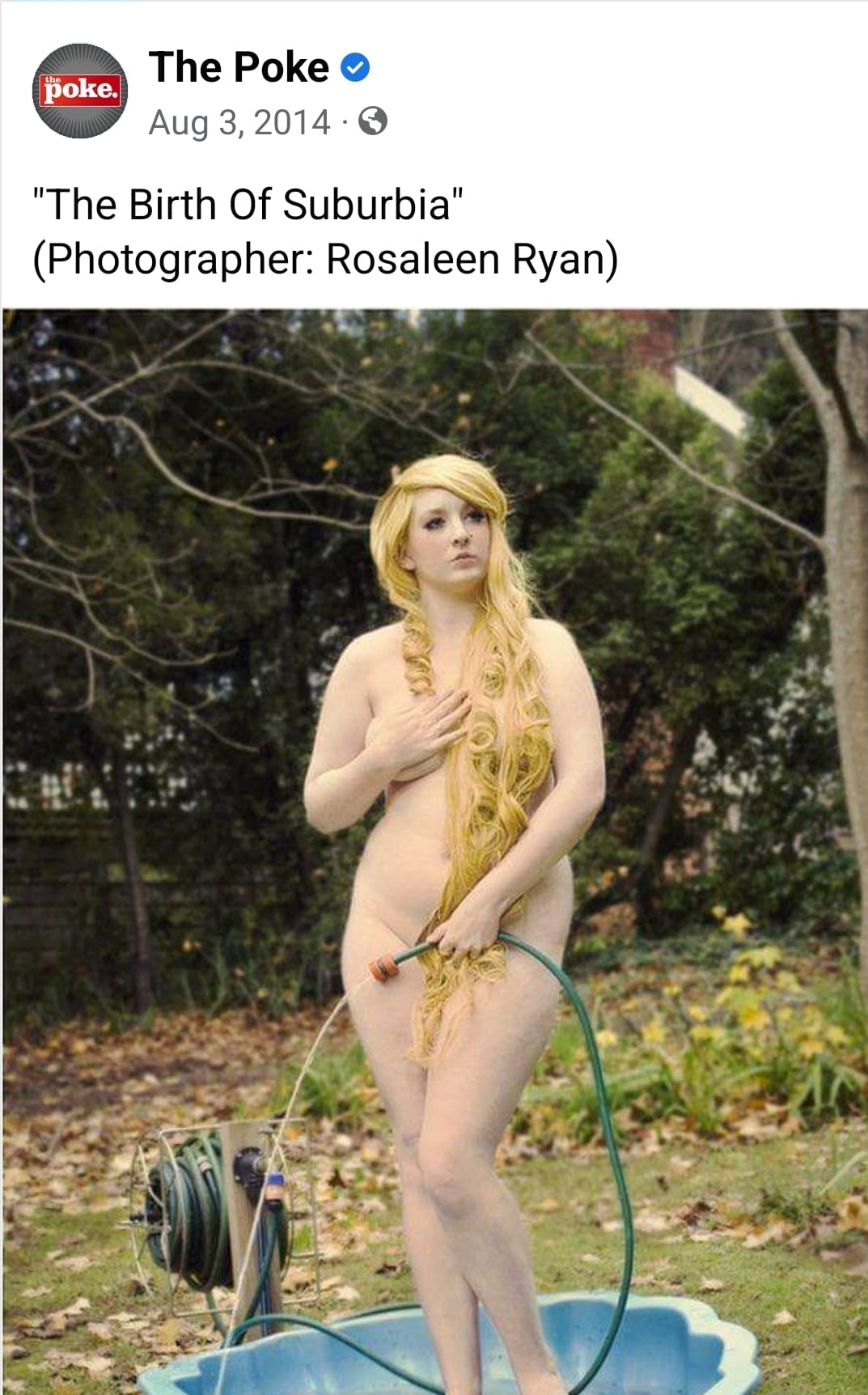 Okay, let's analyze the image "The Birth of Suburbia" by Rosaleen Ryan through the frameworks you've provided. I'll only include the sections that are applicable and relevant. **Visual Description** The photograph dep...