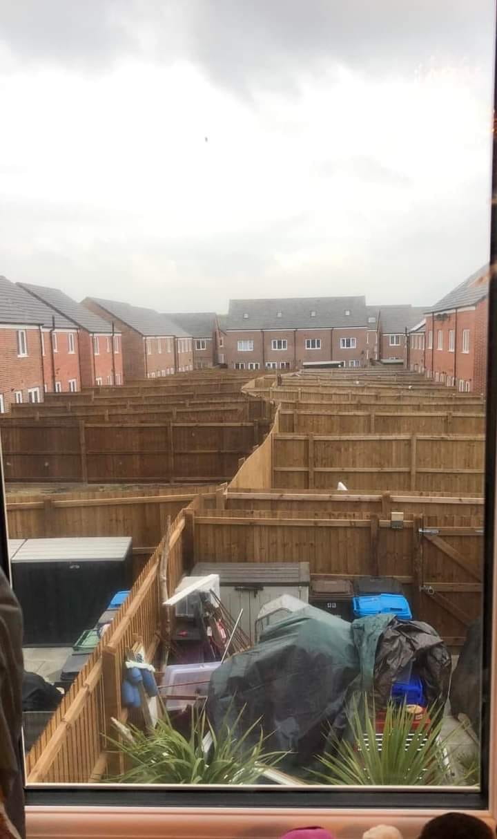 Okay, here’s an analysis of the image, broken down into sections as requested. I'll explain which sections apply and why, and provide a substantial exploration for those that do. I will also explain why some requested...