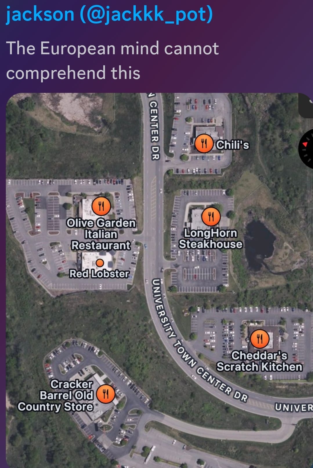 Okay, let's break down this image, leaning into the requested theoretical frameworks where applicable. It's important to note the prompt’s rather provocative claim ("The European mind cannot comprehend this") will be...