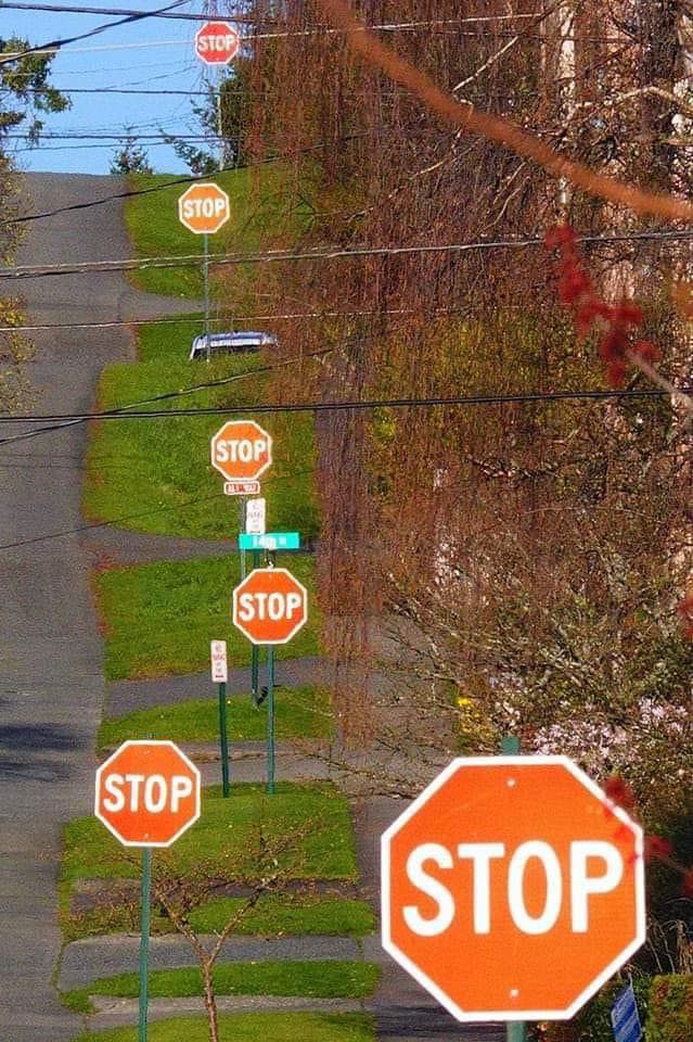 Okay, here's an analysis of the image, broken down into sections as requested. I'll include sections only where the image readily lends itself to those theoretical frameworks. Note that applying complex theory to a si...