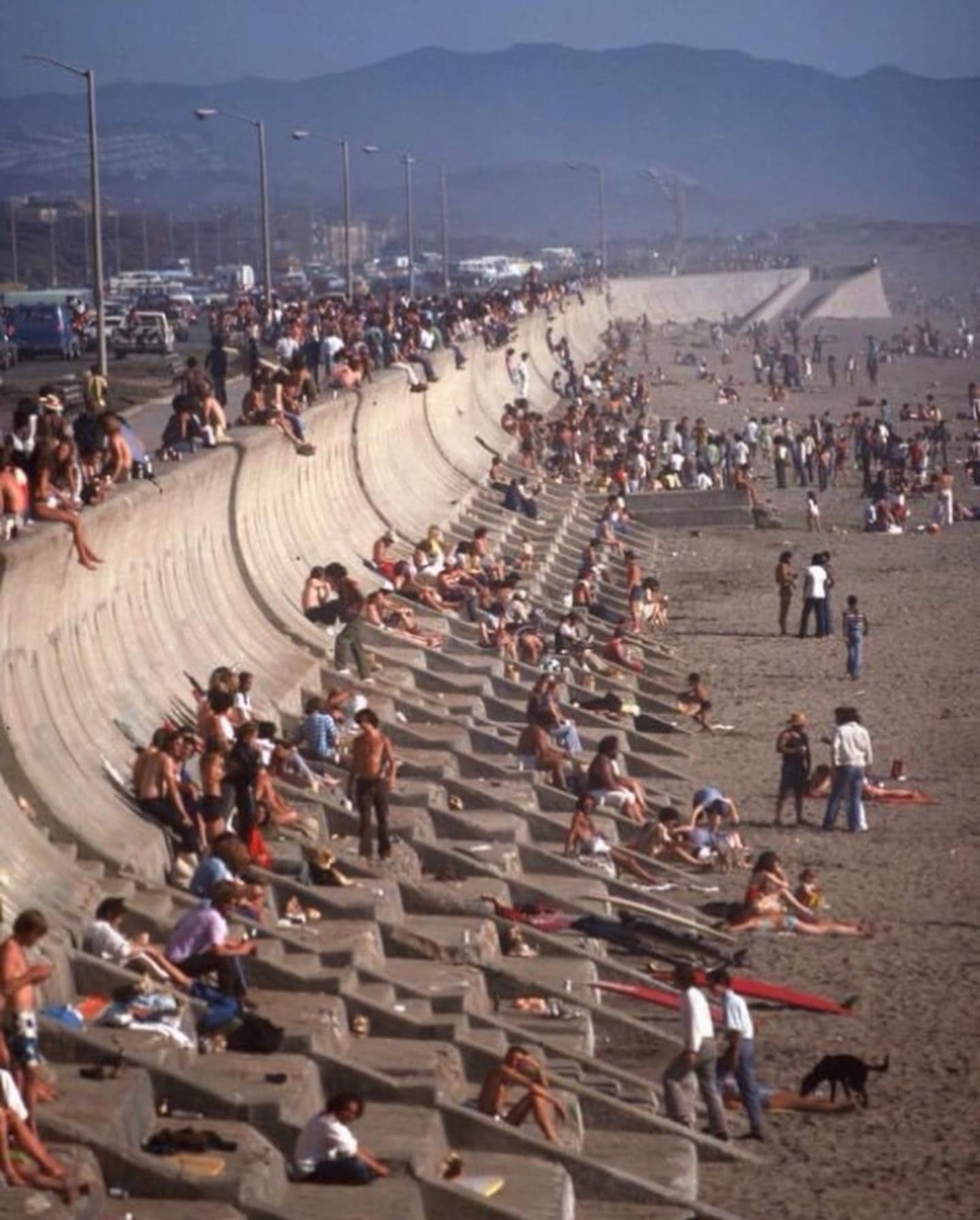 Okay, let's break down this photograph through the lenses you've requested. I will only address sections that genuinely apply to the image and its potential interpretations. **1. Visual Description** The photograph ca...