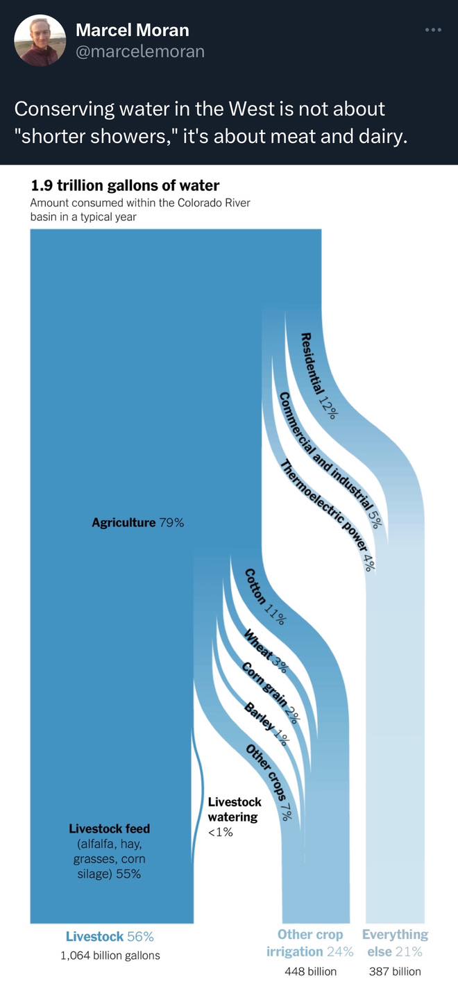 Okay, let's break down this image (a visual data representation about water usage in the Colorado River basin) through the lenses you've requested. Given the nature of the visual, some lenses will be more applicable a...