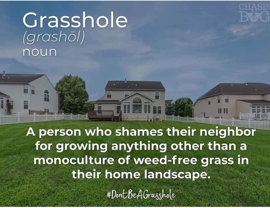 Okay, let's break down this image and its "definition" of "grasshole" through a few different critical lenses. It's a surprisingly rich image for this type of meme! ## Visual Description The image is a digitally creat...