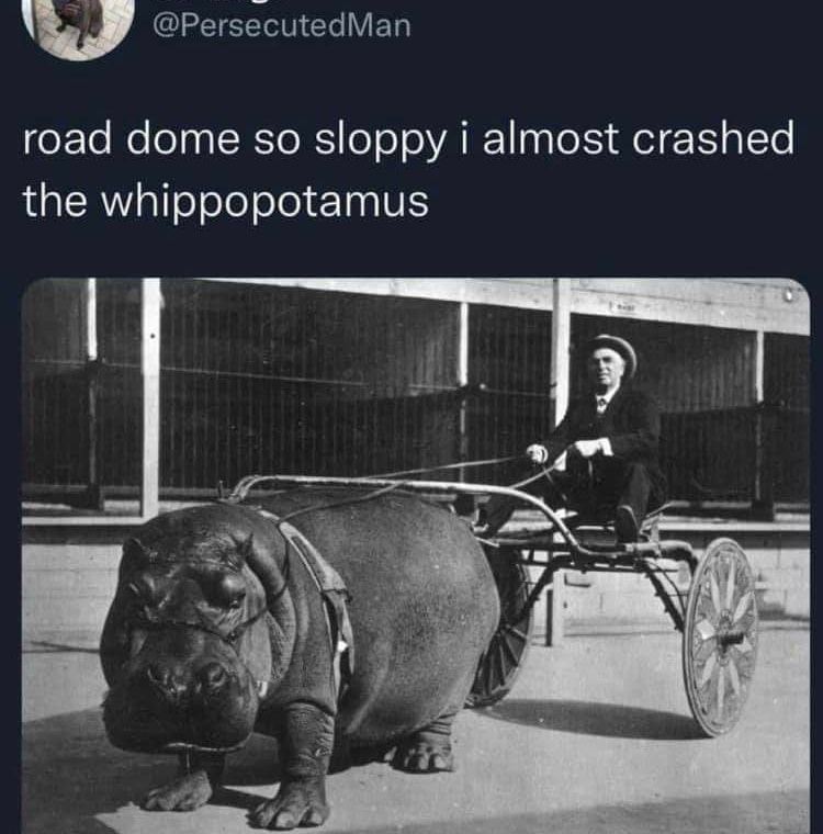 Okay, let's break down this rather bizarre image and the accompanying text ("road too sloppy i almost crashed the whippopotamus") using the requested theoretical frameworks. It's important to acknowledge that applying...