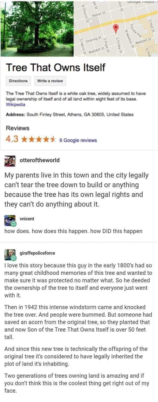 Okay, here’s an analysis of the image/text provided, broken down into the requested theoretical lenses. Note that some of these lenses are more applicable than others, and some might require stretching the interpretat...