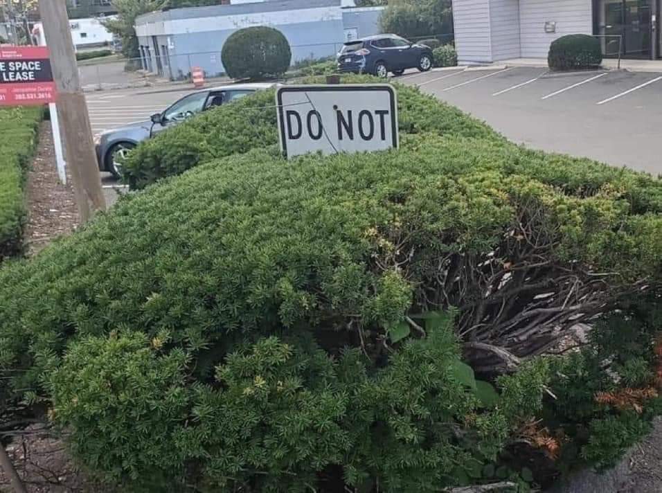The meme features a large, overgrown bush with a "Do Not" sign buried in its center, implying that the sign's warning has been ignored and the bush has grown out of control. The image is humorous because it's a litera...