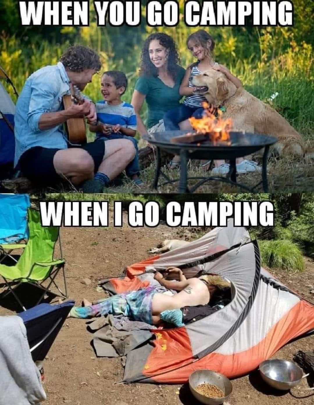 Okay, let's break down this meme using the lenses you've provided. **Visual Description** The image is a comparative meme constructed in a "expectation vs. reality" format. * **Top Panel ("When You Go Camping"):** Dep...